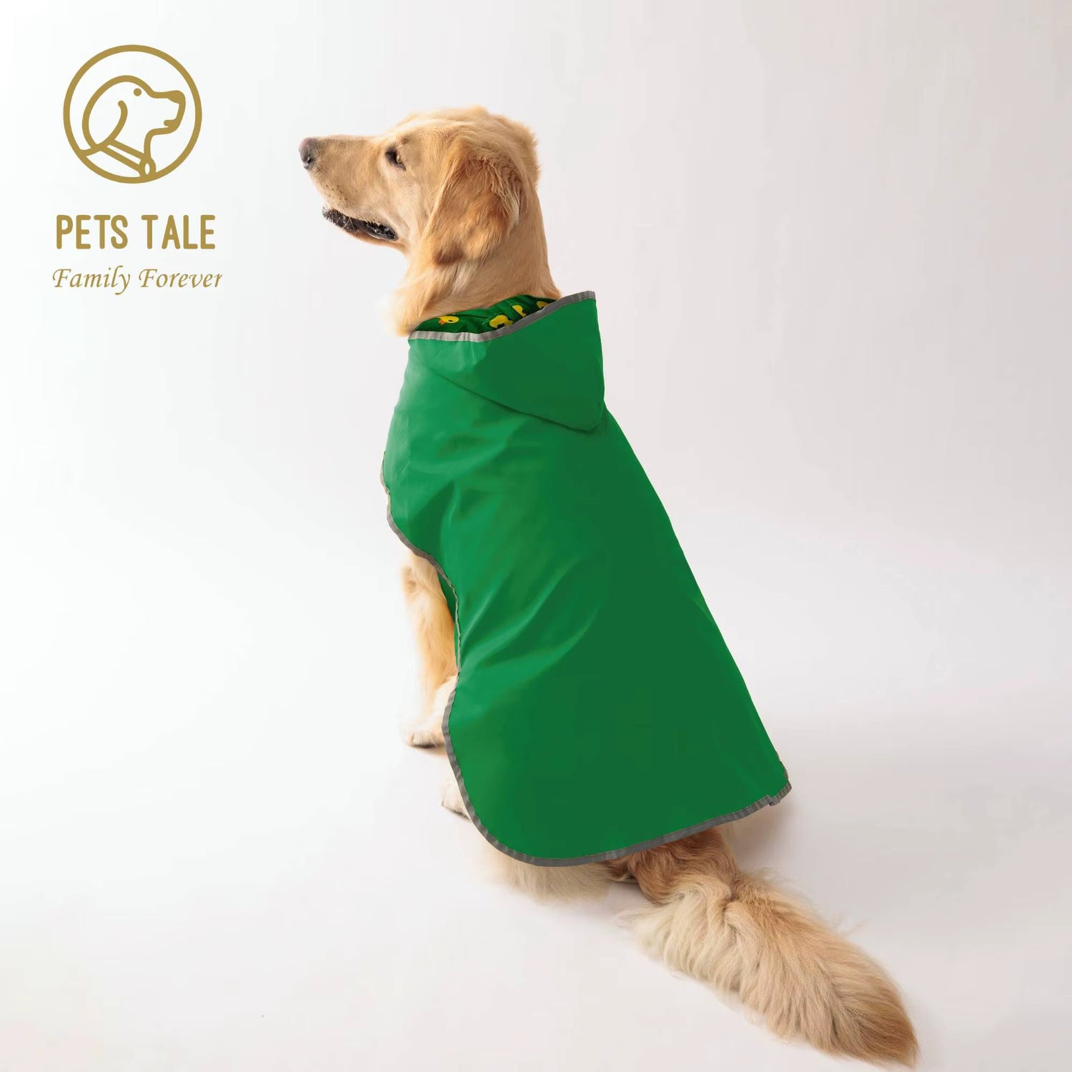 Pets Accessories