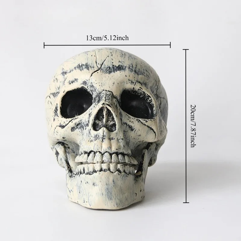 Halloween Realistic Skull Skeleton Head Human Hand Arms for Halloween Party Home Garden Lawn Decor Haunted House Horror Props