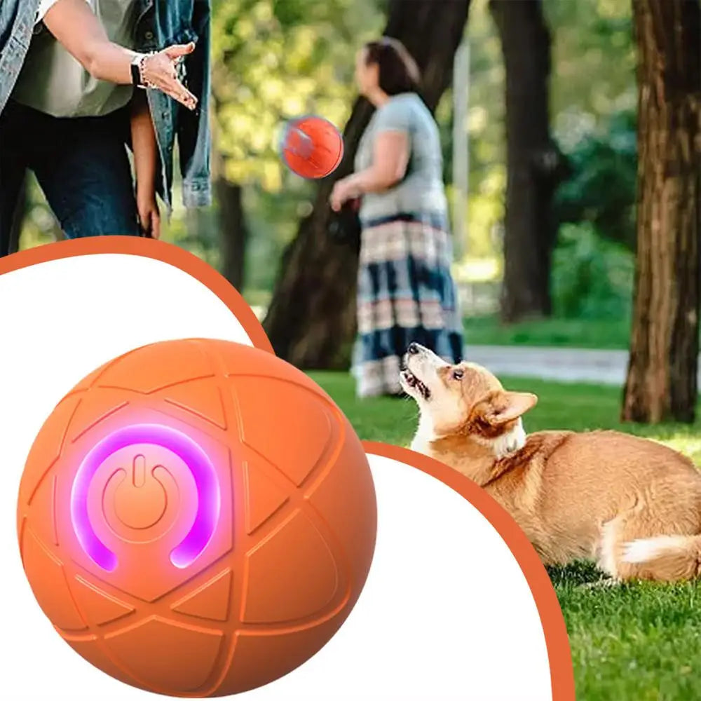 Active Rolling Ball For Dogs Vibrating Rolling Ball Automatic Rolling Ball Toys For Puppy USB Rechargeable Interactive Dog