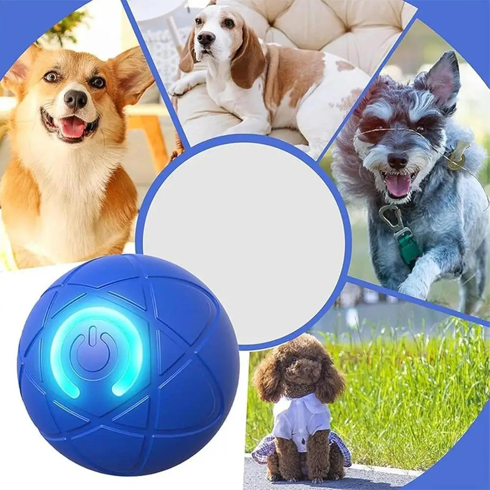 Active Rolling Ball For Dogs Vibrating Rolling Ball Automatic Rolling Ball Toys For Puppy USB Rechargeable Interactive Dog